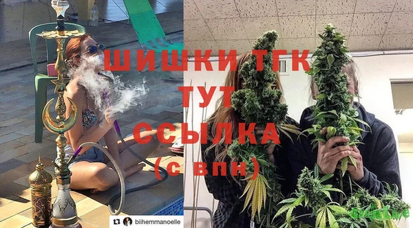 эйфоретик Богородск