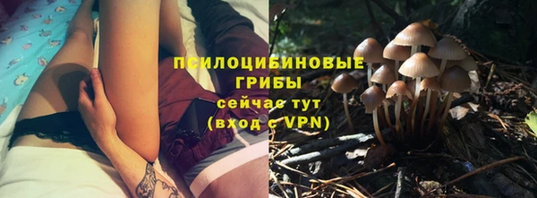 хмурый Богданович