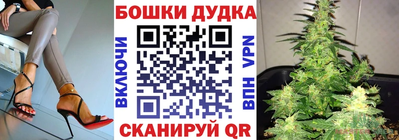 где можно купить наркотик  Светлогорск  Марихуана план 